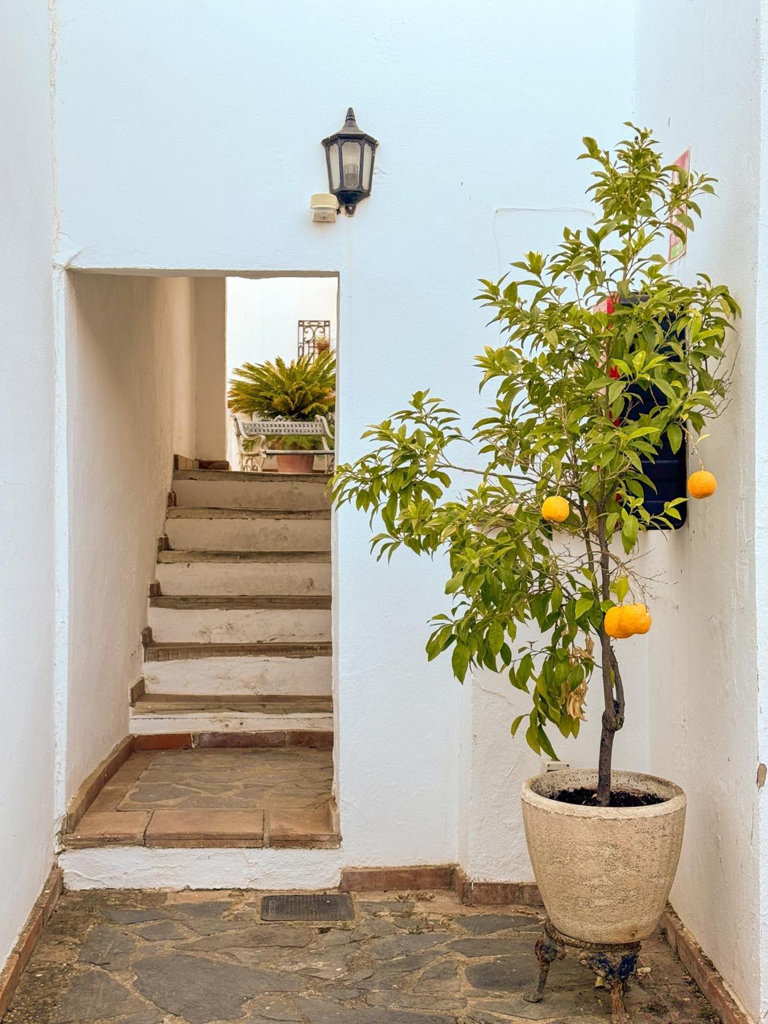Hotel Cortijo Las Piletas Ронда Экстерьер фото